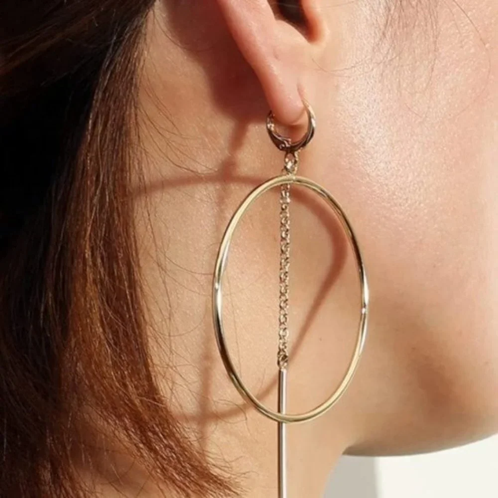 Gold Aesthetic  Earrings